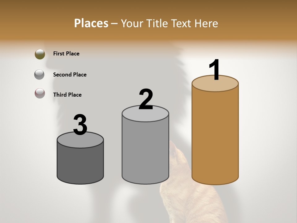 A Cat Sitting In Front Of A Shadow Of A Lion PowerPoint Template