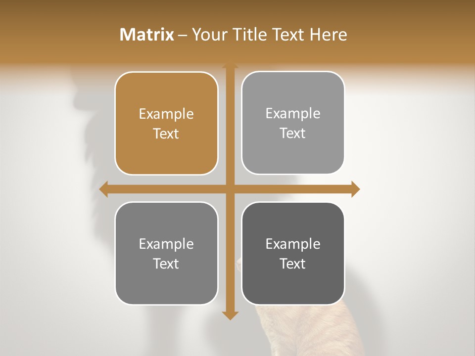 A Cat Sitting In Front Of A Shadow Of A Lion PowerPoint Template