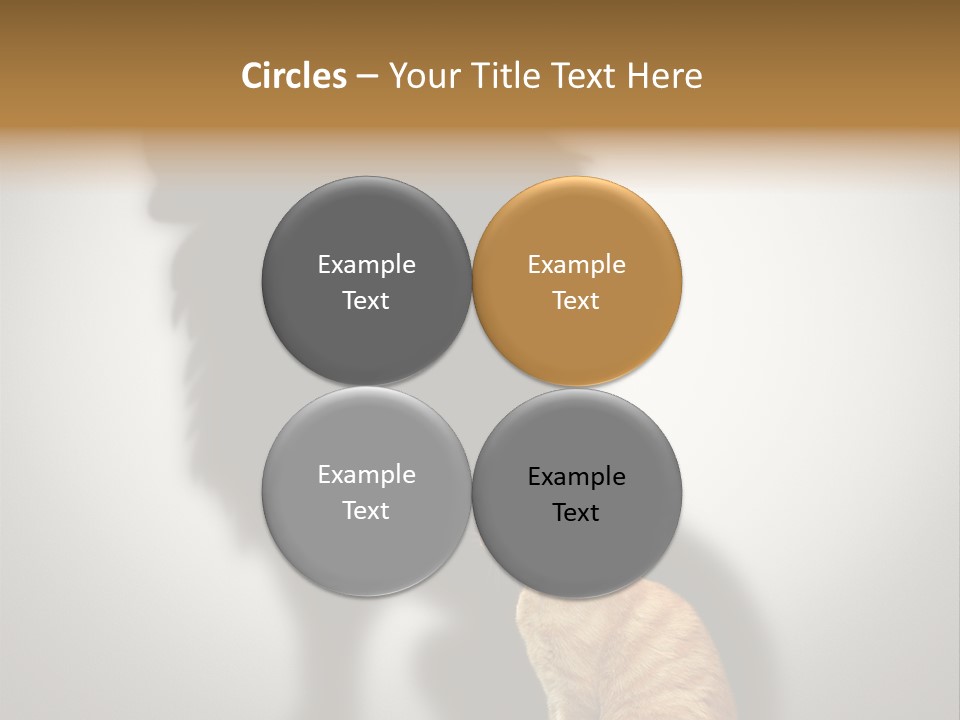 A Cat Sitting In Front Of A Shadow Of A Lion PowerPoint Template