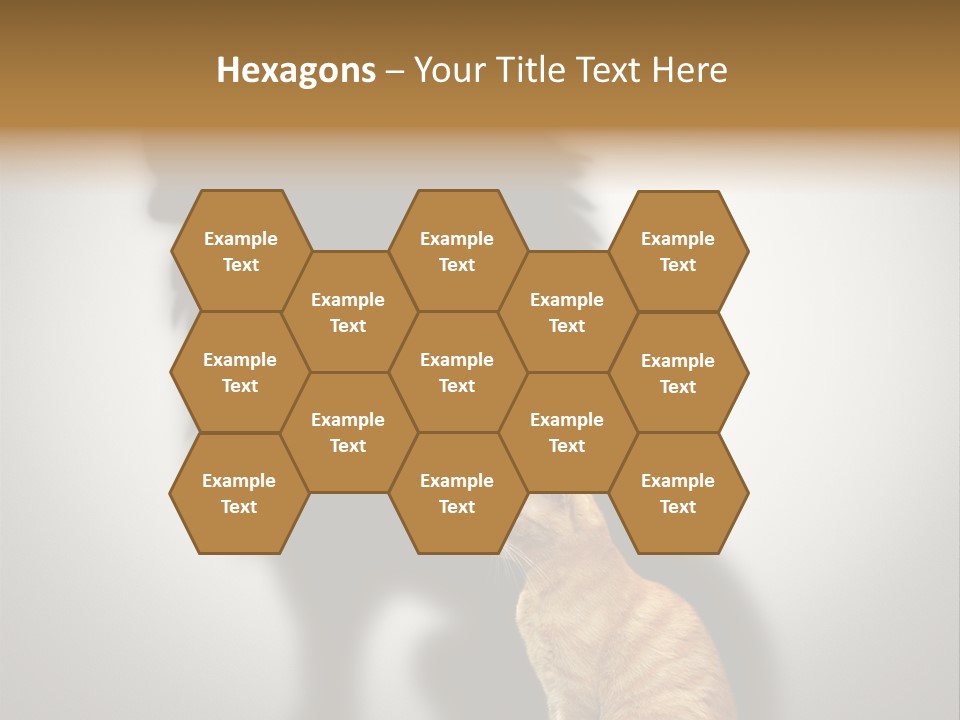 A Cat Sitting In Front Of A Shadow Of A Lion PowerPoint Template