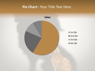 A Cat Sitting In Front Of A Shadow Of A Lion PowerPoint Template