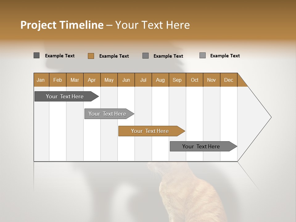 A Cat Sitting In Front Of A Shadow Of A Lion PowerPoint Template