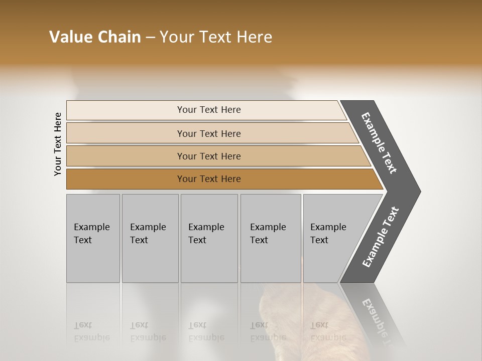 A Cat Sitting In Front Of A Shadow Of A Lion PowerPoint Template
