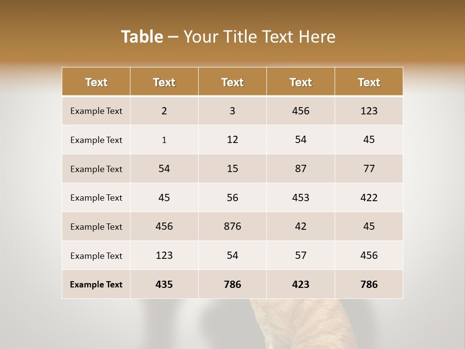 A Cat Sitting In Front Of A Shadow Of A Lion PowerPoint Template