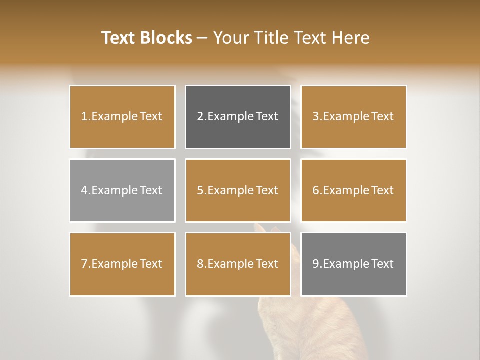 A Cat Sitting In Front Of A Shadow Of A Lion PowerPoint Template