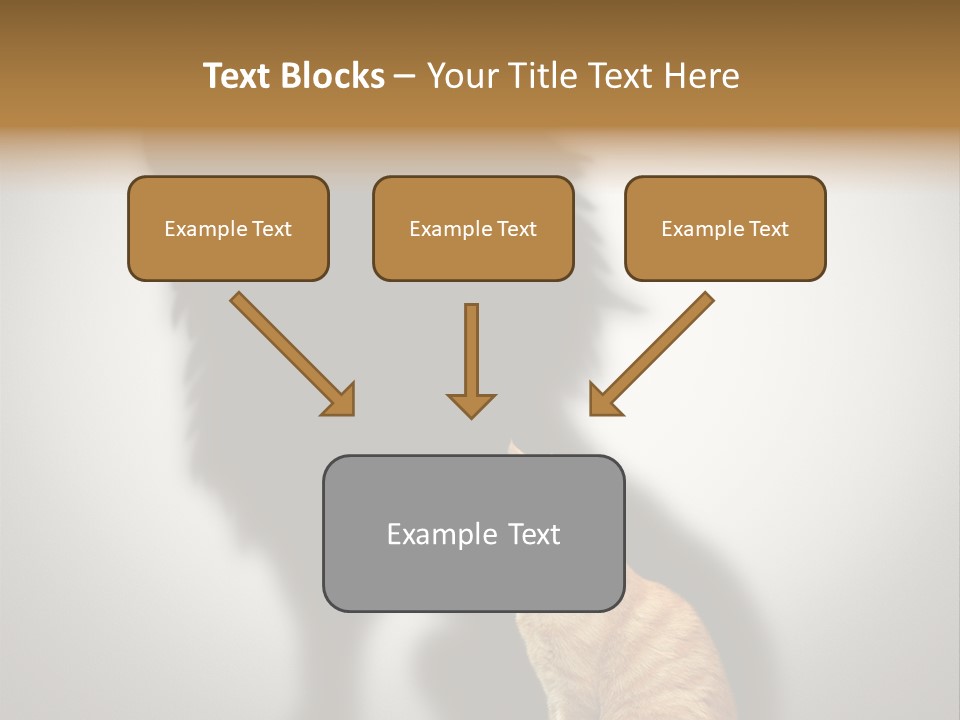 A Cat Sitting In Front Of A Shadow Of A Lion PowerPoint Template