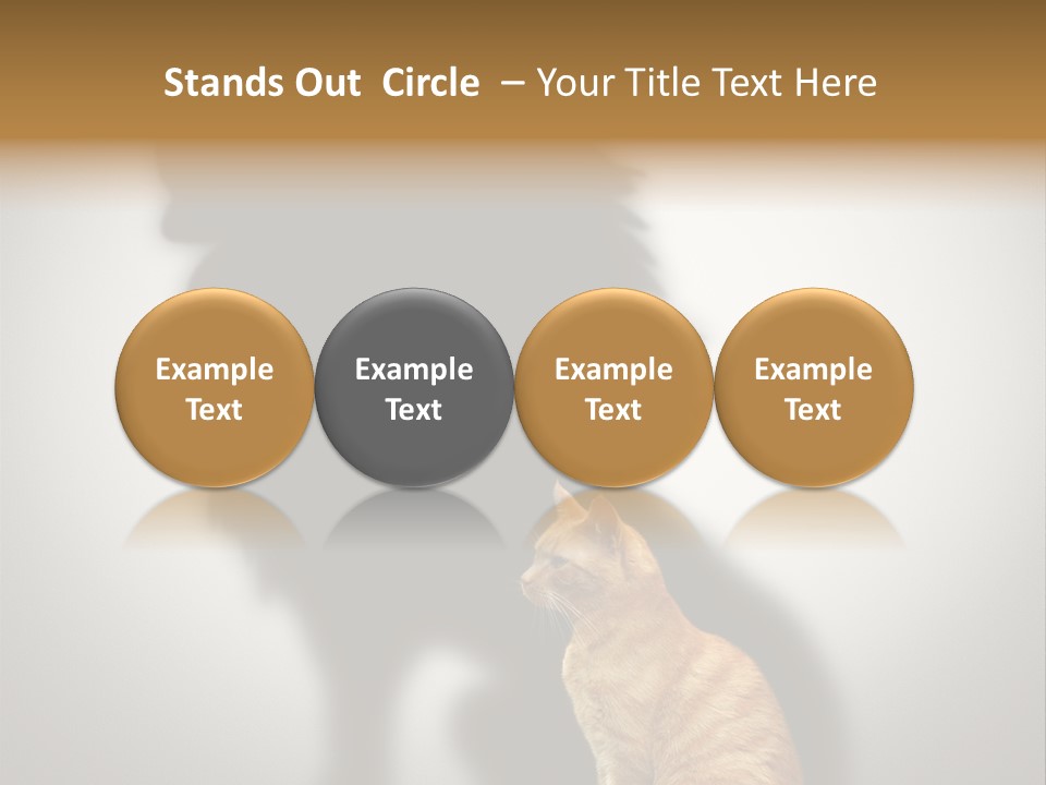 A Cat Sitting In Front Of A Shadow Of A Lion PowerPoint Template