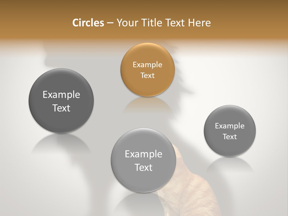 A Cat Sitting In Front Of A Shadow Of A Lion PowerPoint Template