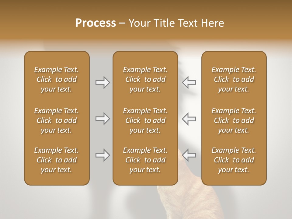 A Cat Sitting In Front Of A Shadow Of A Lion PowerPoint Template