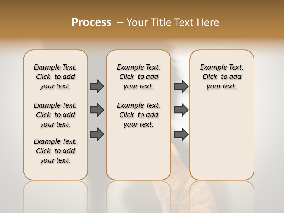 A Cat Sitting In Front Of A Shadow Of A Lion PowerPoint Template