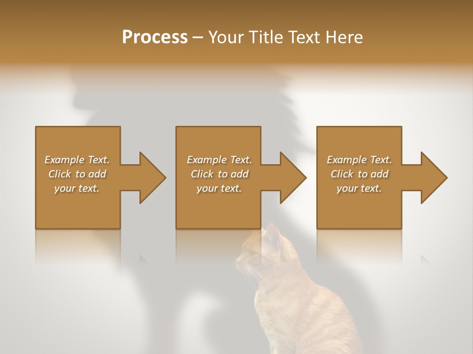 A Cat Sitting In Front Of A Shadow Of A Lion PowerPoint Template