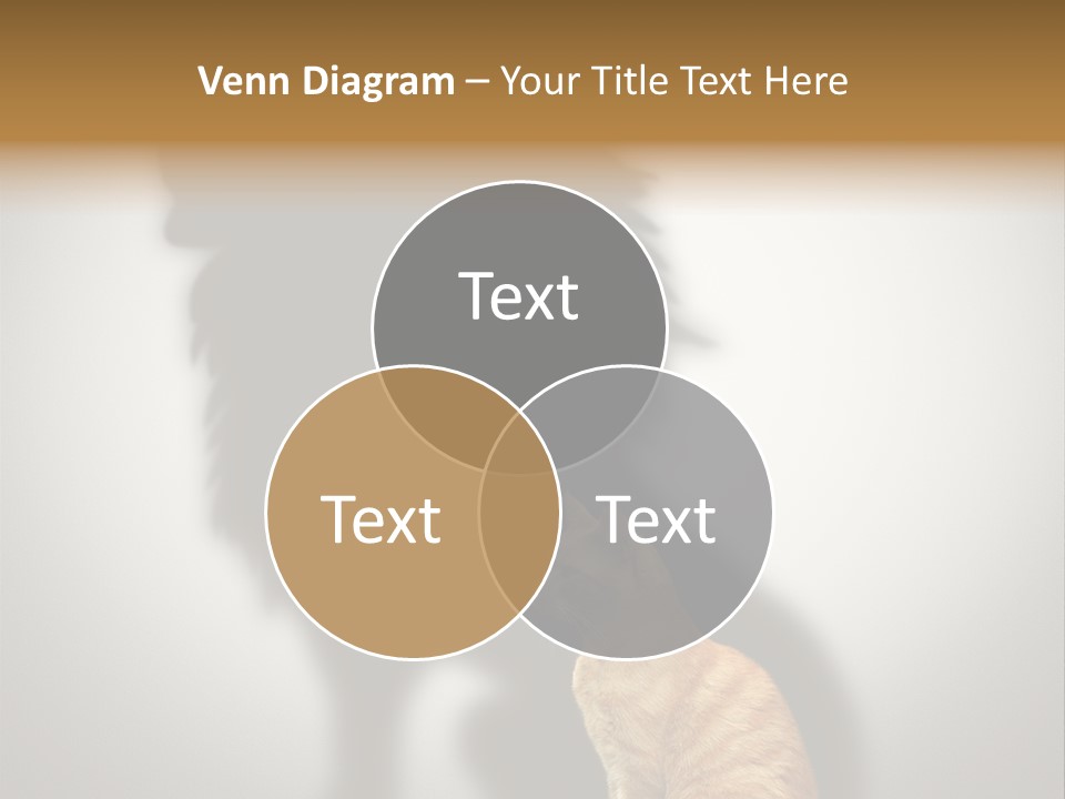 A Cat Sitting In Front Of A Shadow Of A Lion PowerPoint Template