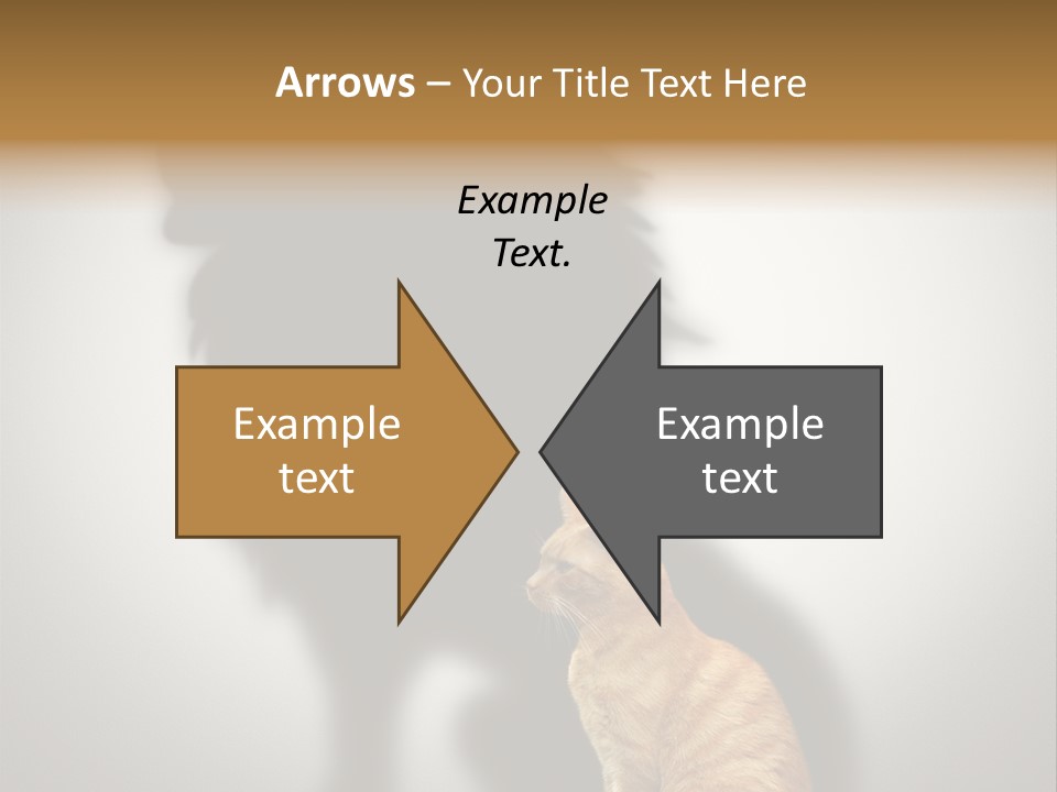 A Cat Sitting In Front Of A Shadow Of A Lion PowerPoint Template