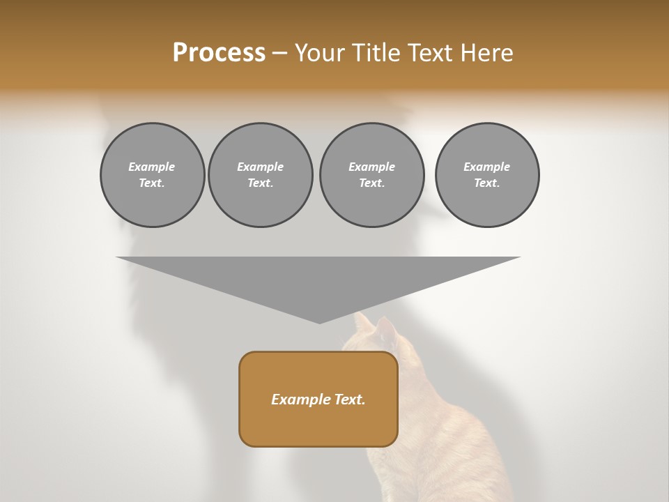 A Cat Sitting In Front Of A Shadow Of A Lion PowerPoint Template