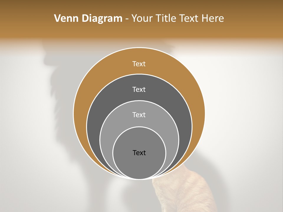 A Cat Sitting In Front Of A Shadow Of A Lion PowerPoint Template