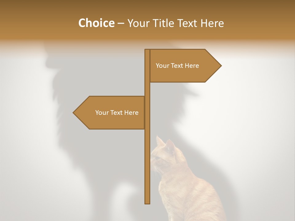 A Cat Sitting In Front Of A Shadow Of A Lion PowerPoint Template