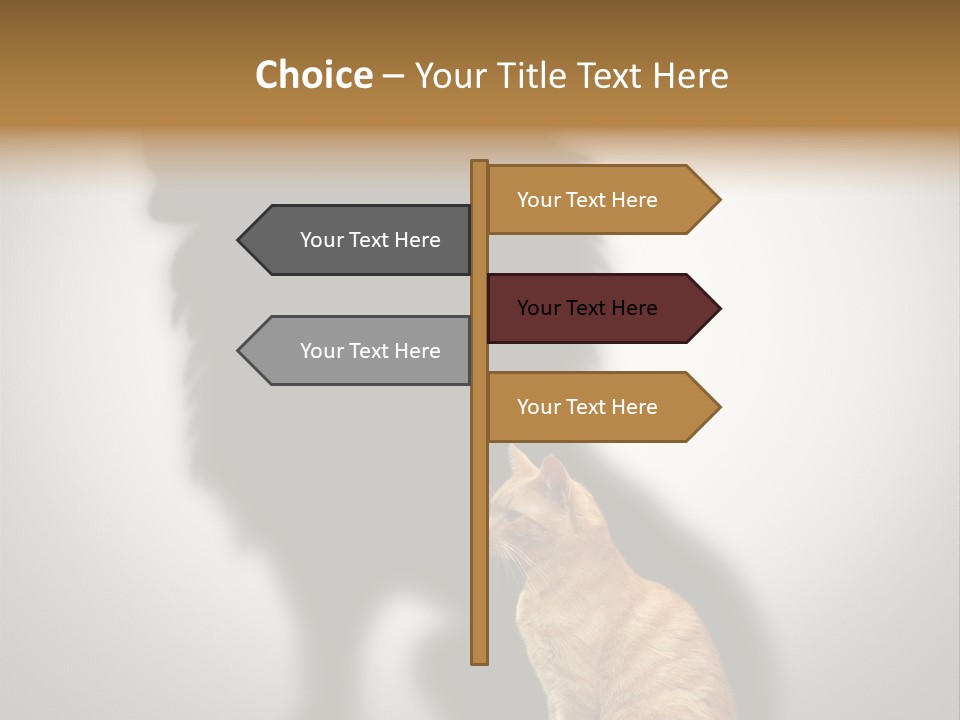 A Cat Sitting In Front Of A Shadow Of A Lion PowerPoint Template