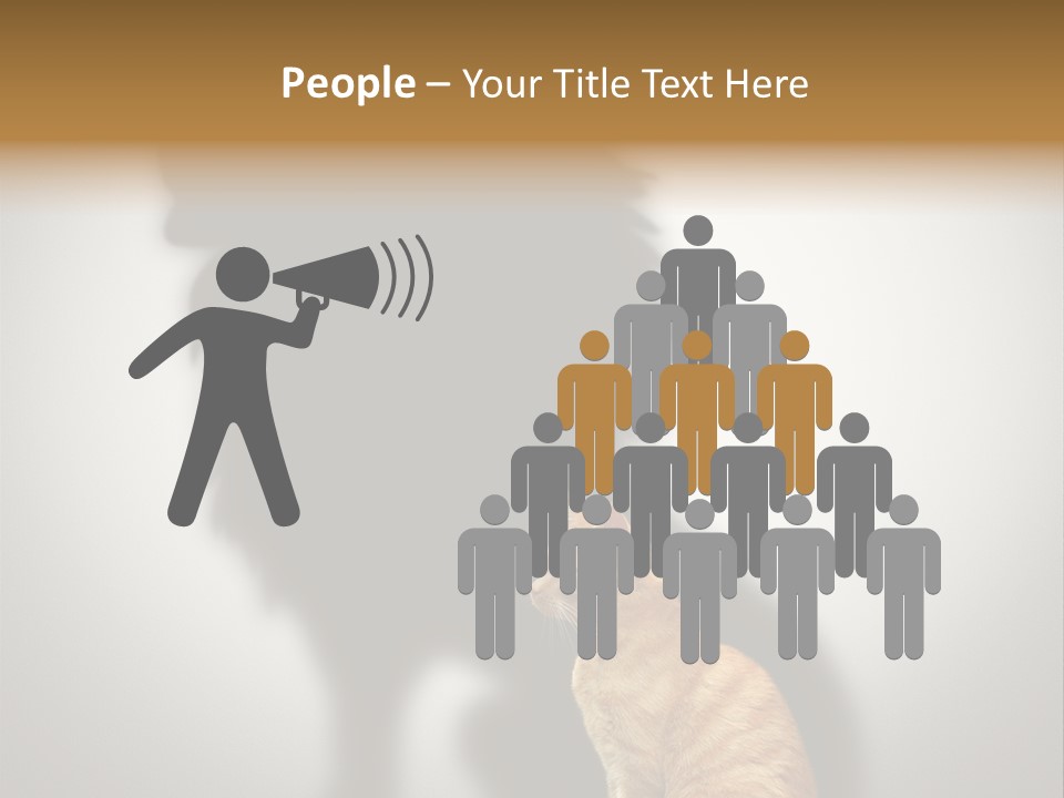 A Cat Sitting In Front Of A Shadow Of A Lion PowerPoint Template