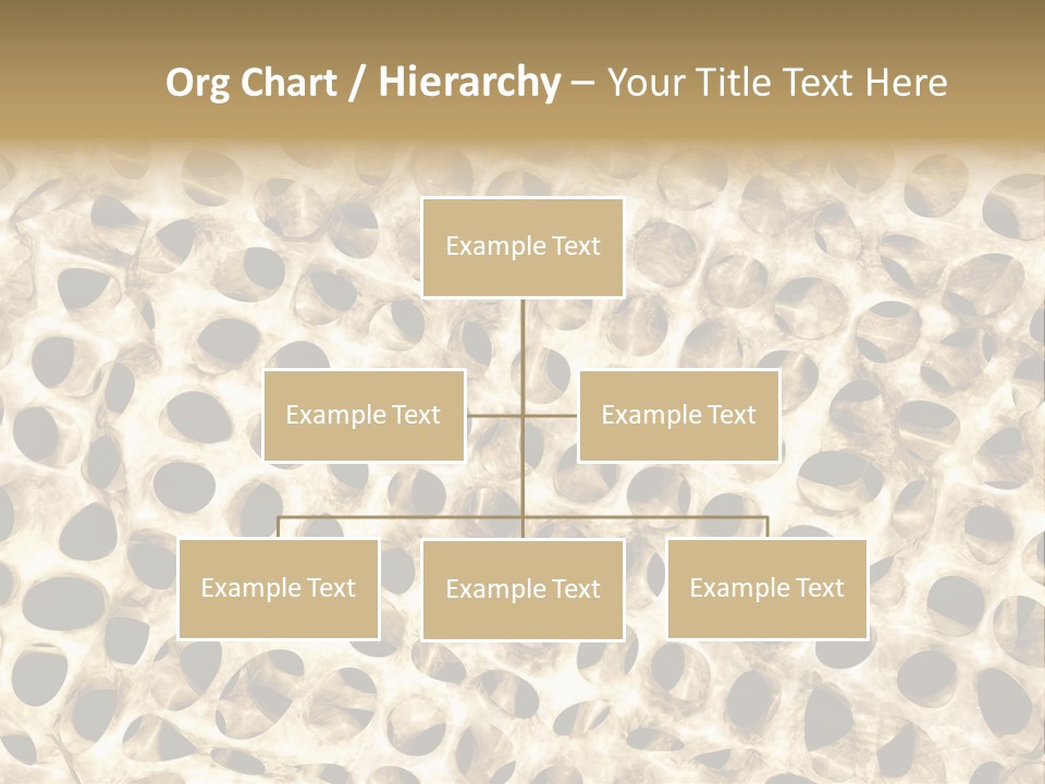 Accident Hospital Health PowerPoint Template