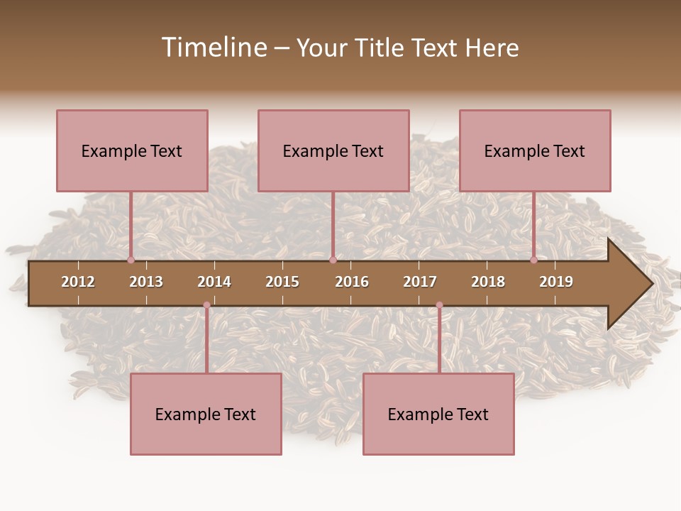 Cumin Seed Drink PowerPoint Template