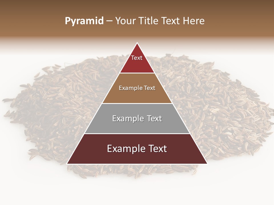 Cumin Seed Drink PowerPoint Template