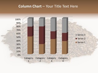 Cumin Seed Drink PowerPoint Template