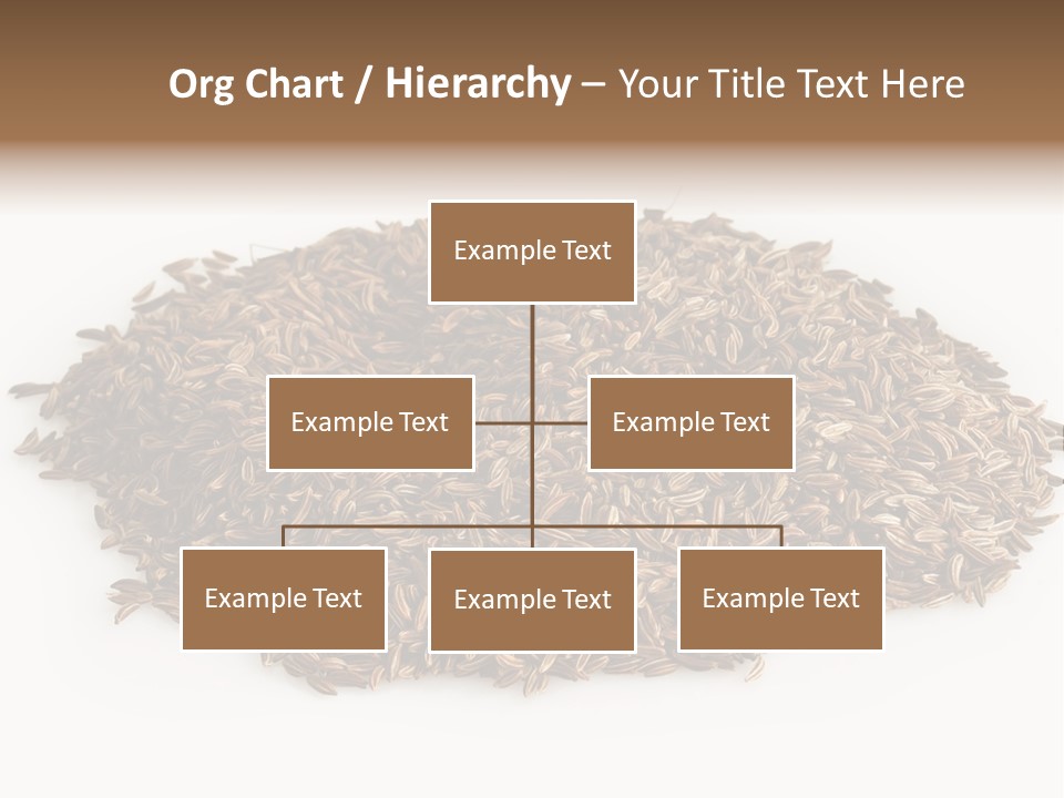 Cumin Seed Drink PowerPoint Template