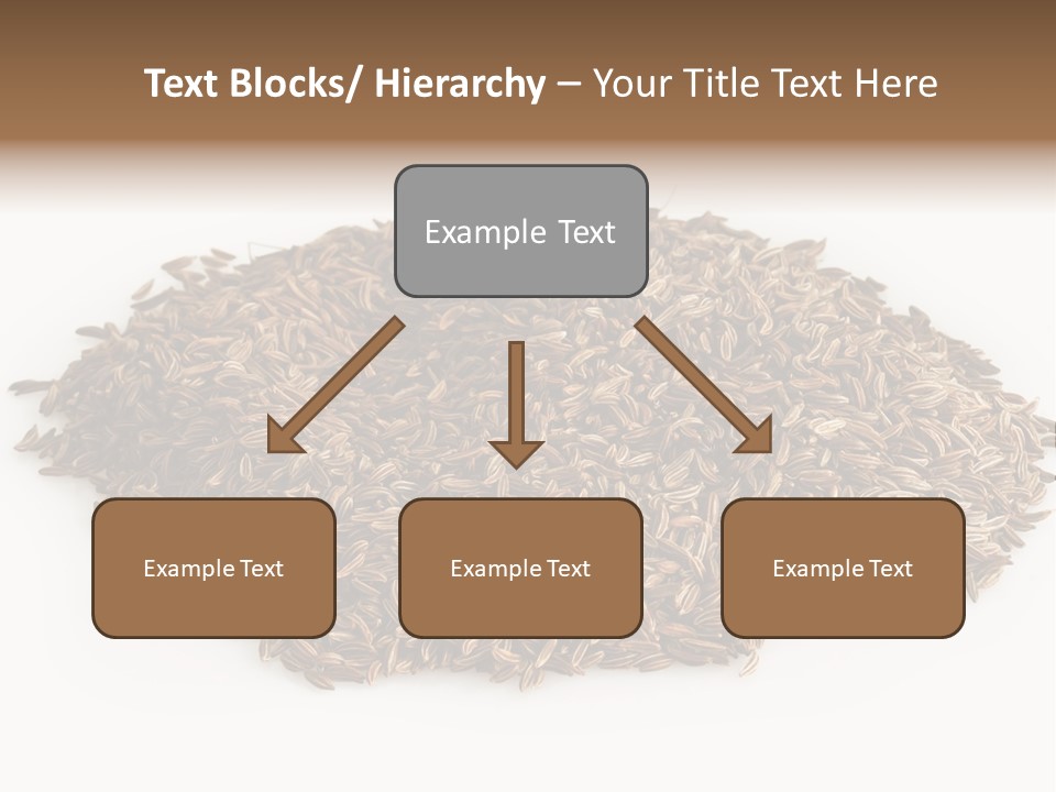 Cumin Seed Drink PowerPoint Template