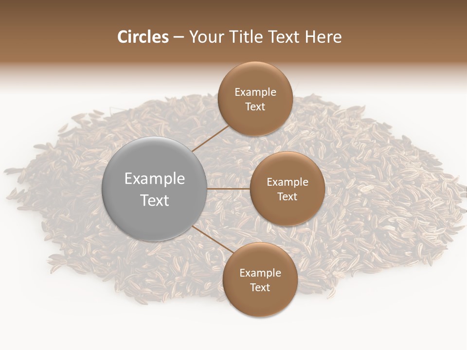 Cumin Seed Drink PowerPoint Template