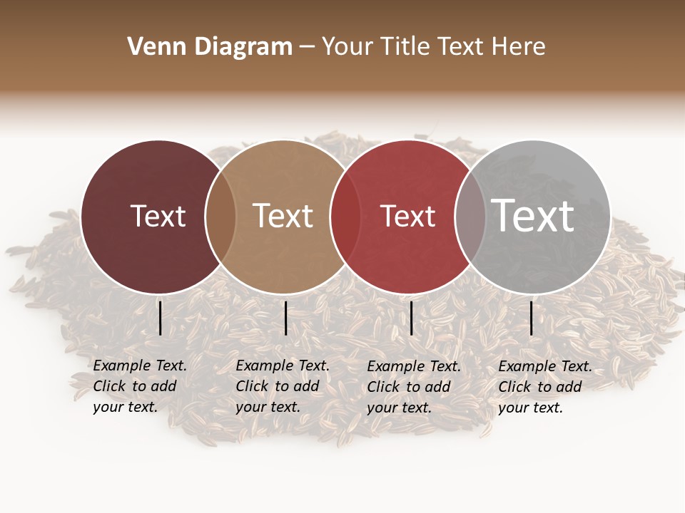 Cumin Seed Drink PowerPoint Template