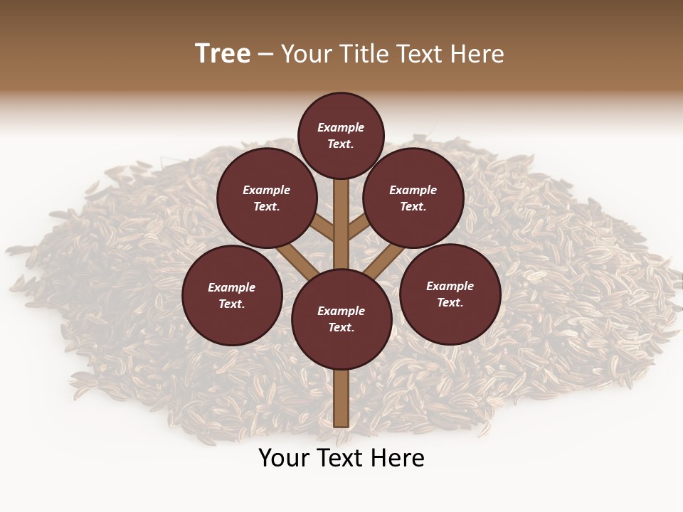 Cumin Seed Drink PowerPoint Template