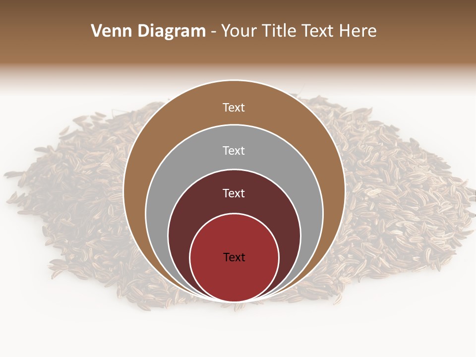 Cumin Seed Drink PowerPoint Template