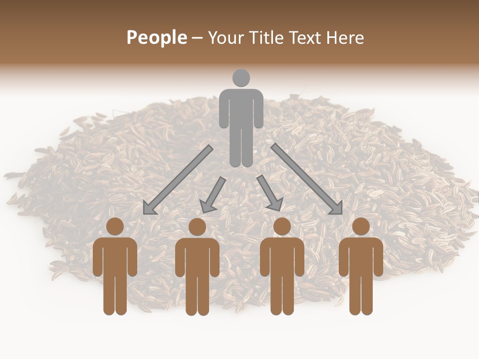 Cumin Seed Drink PowerPoint Template