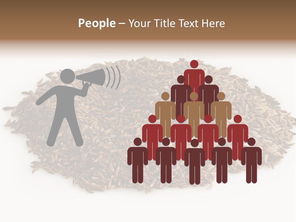 Cumin Seed Drink PowerPoint Template