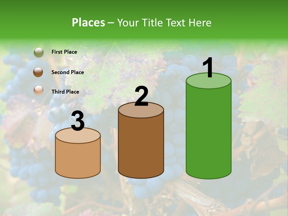 Variety Sweet Mendoza PowerPoint Template