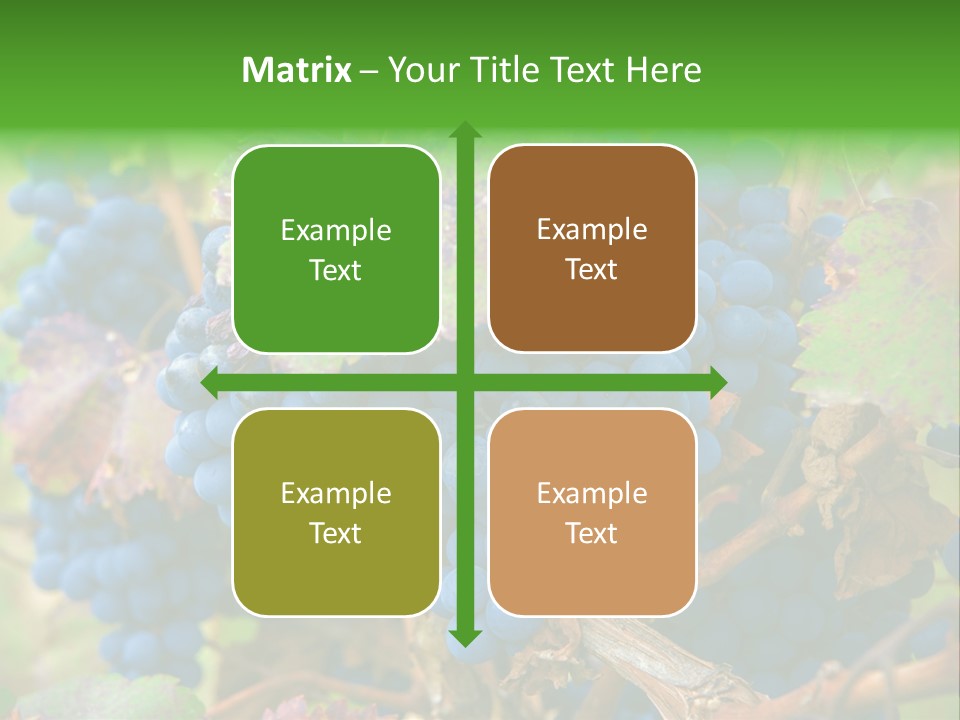 Variety Sweet Mendoza PowerPoint Template