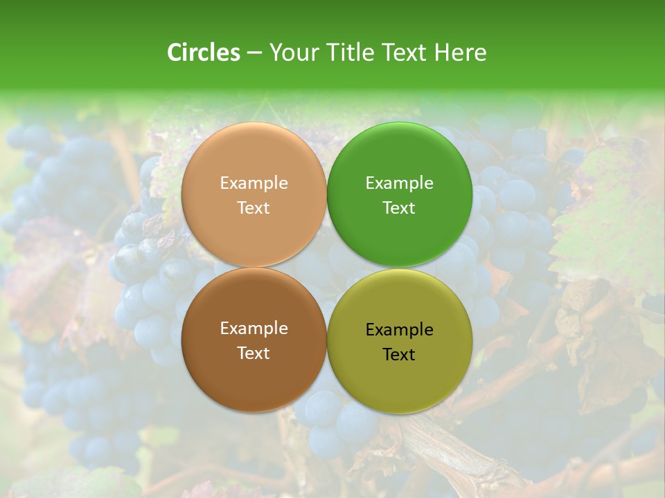 Variety Sweet Mendoza PowerPoint Template