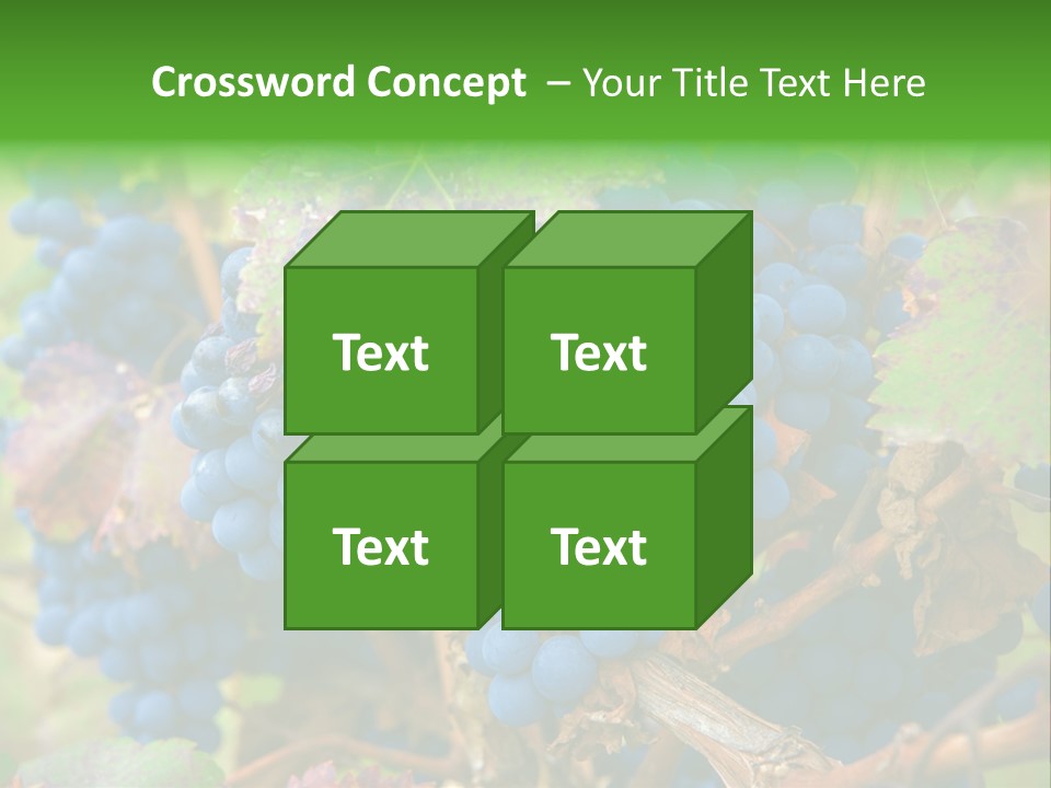 Variety Sweet Mendoza PowerPoint Template