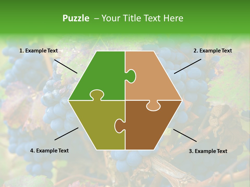 Variety Sweet Mendoza PowerPoint Template