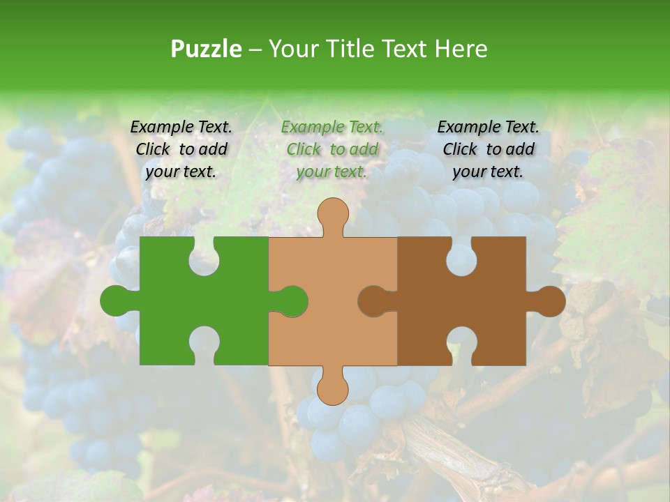 Variety Sweet Mendoza PowerPoint Template