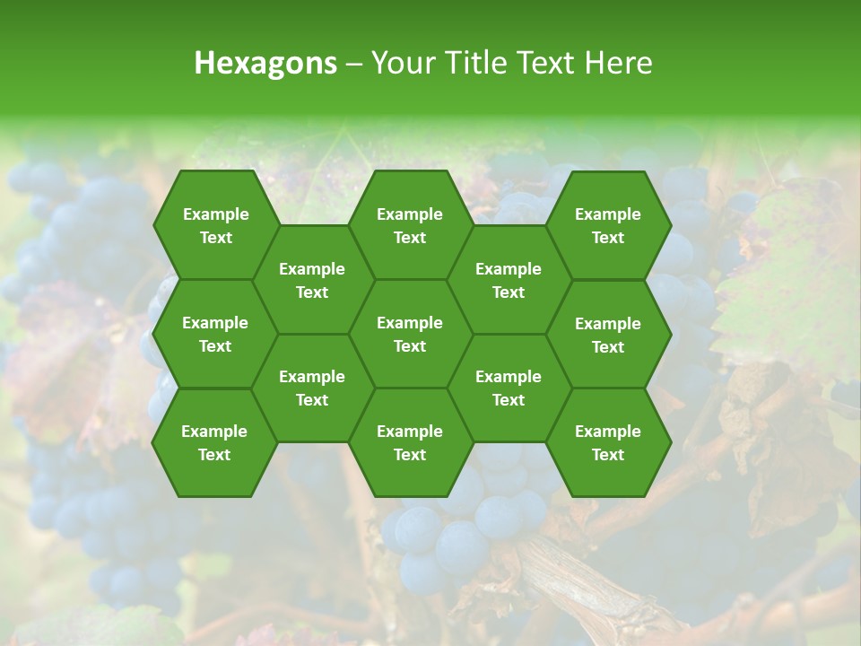 Variety Sweet Mendoza PowerPoint Template