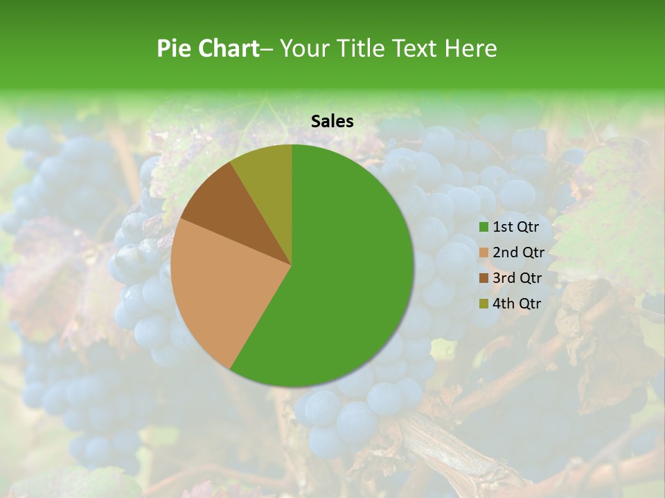 Variety Sweet Mendoza PowerPoint Template