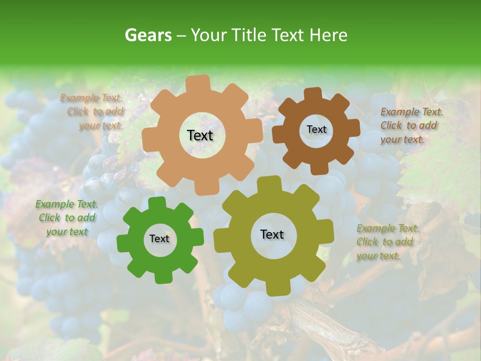 Variety Sweet Mendoza PowerPoint Template