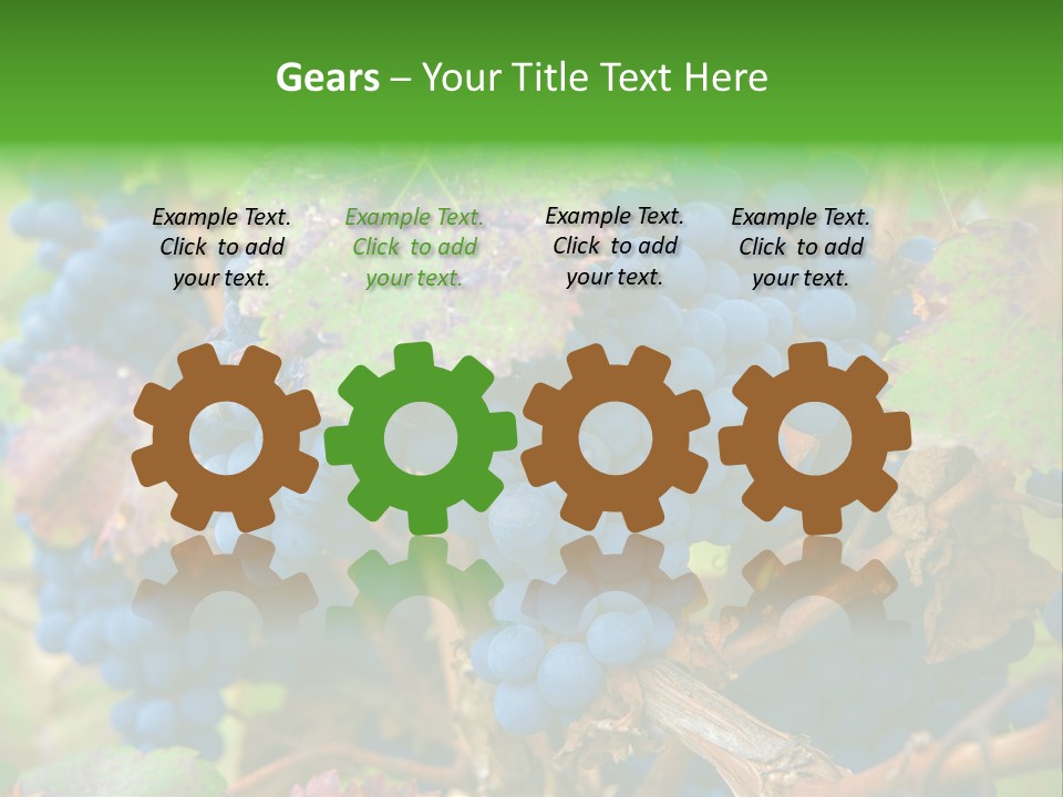 Variety Sweet Mendoza PowerPoint Template