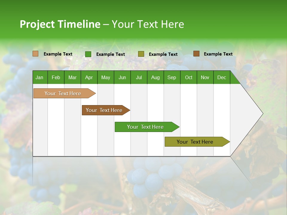 Variety Sweet Mendoza PowerPoint Template