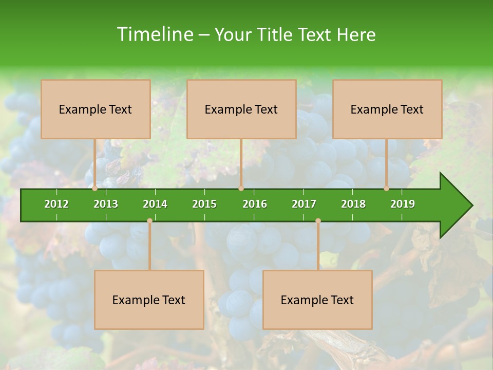 Variety Sweet Mendoza PowerPoint Template
