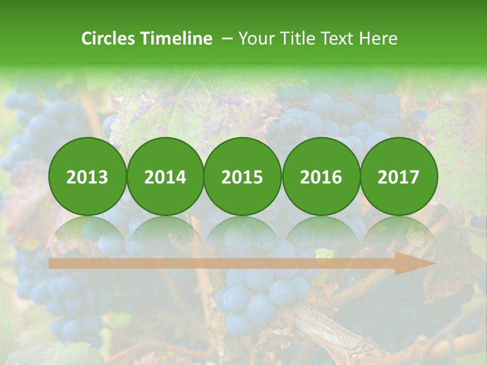 Variety Sweet Mendoza PowerPoint Template