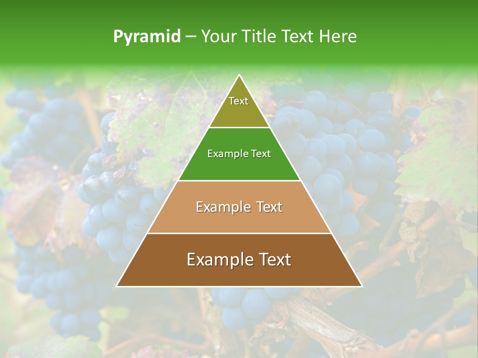 Variety Sweet Mendoza PowerPoint Template