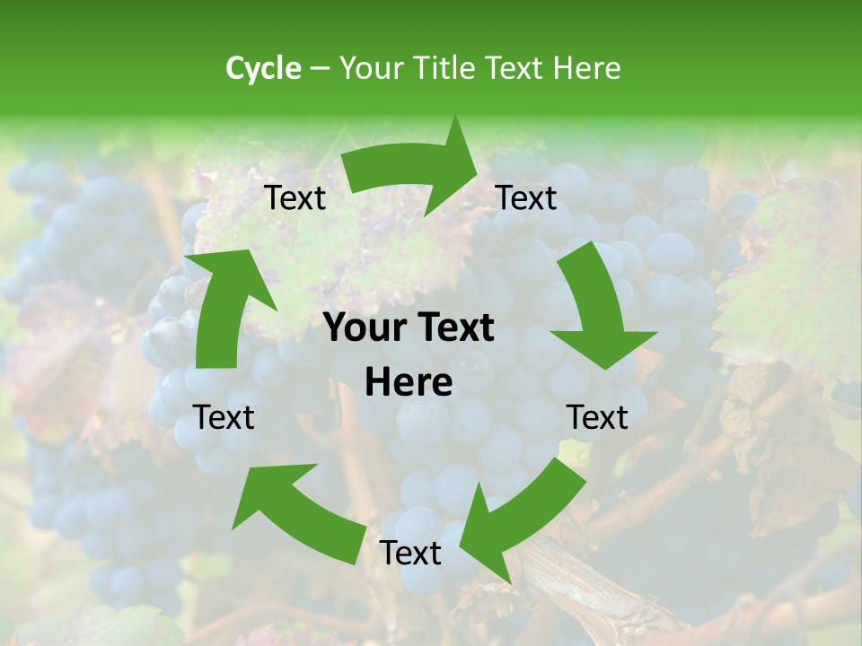 Variety Sweet Mendoza PowerPoint Template