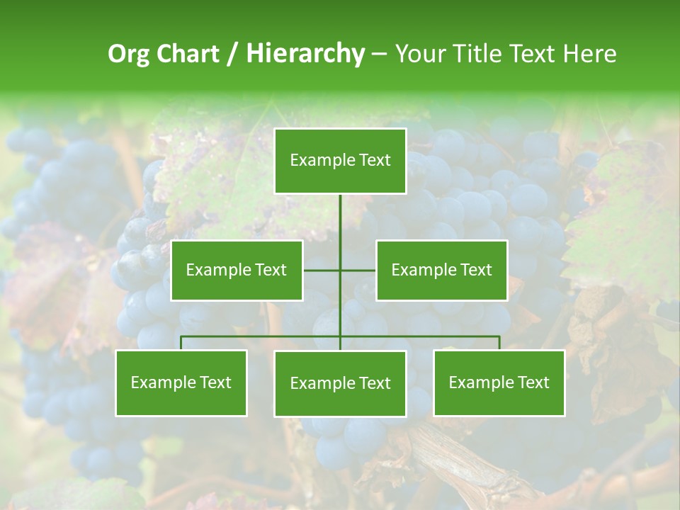 Variety Sweet Mendoza PowerPoint Template